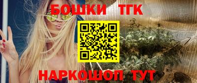 индика Можга