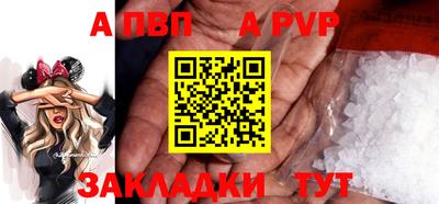 индика Можга